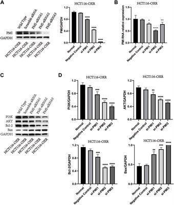 Lycium barbarum polysaccharide reverses drug resistance in oxaliplatin-resistant colon cancer cells by inhibiting PI3K/AKT-dependent phosphomannose isomerase